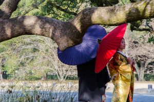 Lire la suite à propos de l’article Avant les Cerisiers en Fleurs